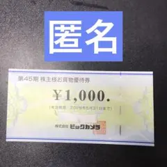 ビックカメラ 株主優待券 ¥1,000