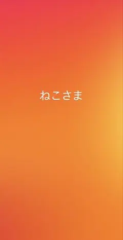 ねこ@お値下げ相談はコメントヘ様 リクエスト 2点 まとめ商品