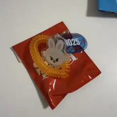 SKZ サウナキーリング　リービット　リノ