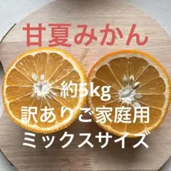 甘夏　甘夏みかん 約5kg 訳ありご家庭用　ミックスサイズのサムネイル
