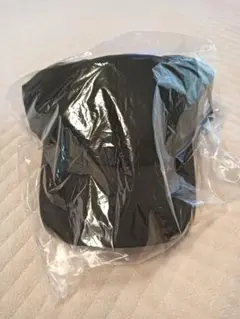 【ツエーゲン金沢】WAYSキャップ
