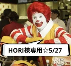 HORI様専用☆