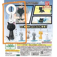 しょんぼり猫 めじるしアクセサリー 救出物語