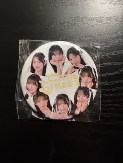 Item thumbnail for item 467435f2-a37f-4a47-b333-3af2f8b6b38f