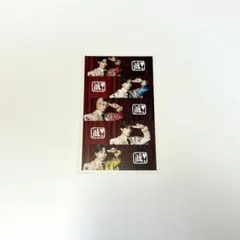 M!LK 滅 衣装 集合トレカ