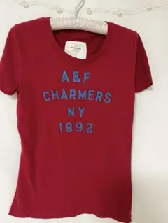 アバクロロゴTシャツ