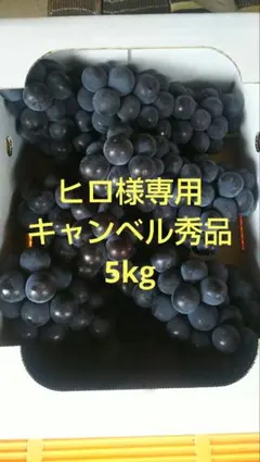 ヒロ様専用キャンベル　秀品　5kg