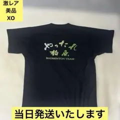2026年最新】柏原 バドミントンの人気アイテム - メルカリ