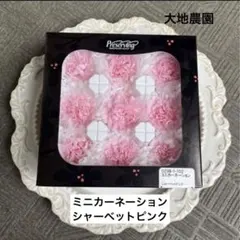 済　mayufuji ♡空花♡様　ご専用