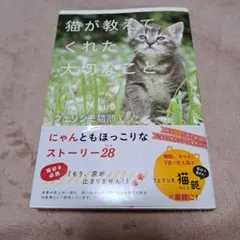 猫が教えてくれた大切なこと