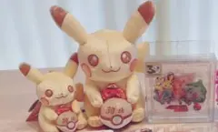 【限定品】ポケモン 30周年 ぬいぐるみ＆アクリルブロック セット（ピカチュウ他