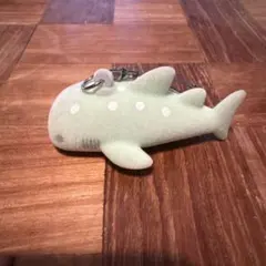 フロッキー　やさしいうみのなかまたち　ジンベエザメ