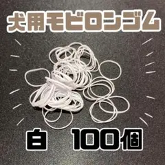 Item thumbnail for item 214e2e87-6d41-47a2-8b5c-4f8b3ae45d43