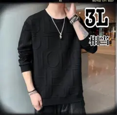 (50)黒 3L相当スウェット Tシャツ立体文字デザイン 大きいサイズ