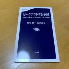 ピークアウトする中国 「殺到する経済」と「合理的バブル」の限界　s56