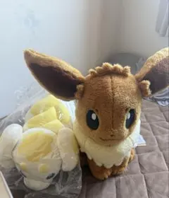 イーブイ パピモッチぬいぐるみ　セット 大きめ　 2点
