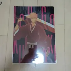 BLEACH Ichigo Kurosaki クリアファイル