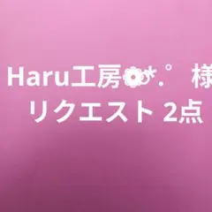 Haru工房❁⃘*.゜プロフ必読⚠️様 リクエスト 2点 まとめ商品