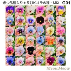 ゆきの様 リクエスト 9点 まとめ商品