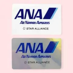 Item thumbnail for item c5f1008b-a3a1-413f-9920-95a039c7cd85