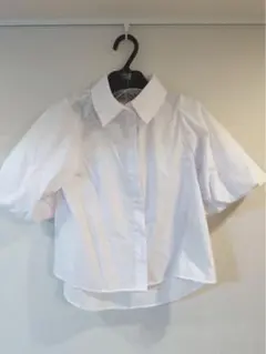 ZARA バルーンスリーブブラウス