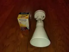 スポットライト