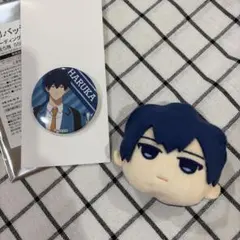 忘却バッテリー 要圭 清峰葉流火 グッズ - メルカリ