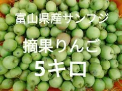 富山産　サンふじ　摘果りんご　5キロ 減農薬栽培のサムネイル