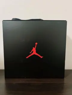 NIKE AIR JORDAN エアジョーダン 空箱