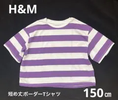 【H&M】キッズ　短め丈　ボーダーTシャツ　150㎝　パープル×ホワイト