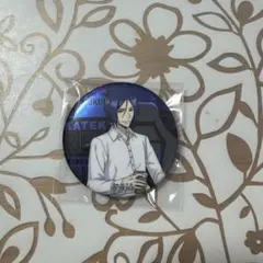 家庭教師ヒットマンREBORN アニメイト特典 六道骸 缶バッジ