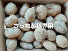 さっちん様専用！長崎県産訳ありじゃがいも10㎏