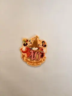 東京ディズニーリゾート 40周年 マグネット