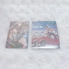 Crazy Raccoon コレクションカード 3点セット