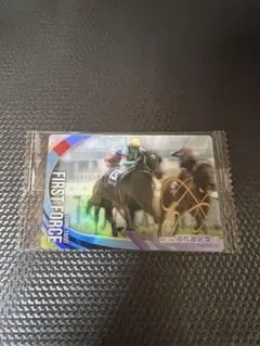 サラブレッドホースコレクション ファストフォース 団野騎手 サイン