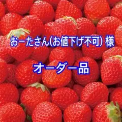 おーたさん(お値下げ不可) 様 オーダーページ