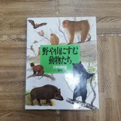 Item thumbnail for item 220af48e-2419-47f1-9f2b-a136303fd510