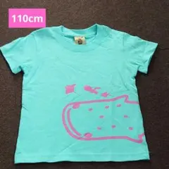 Item thumbnail for item d8161f1f-fedc-4237-9a02-830c1fbbe5cf