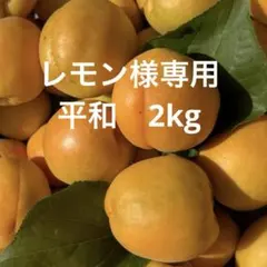 ★レモン様専用　平和　2kg 信州産 あんず　杏　生あんず　アプリコット