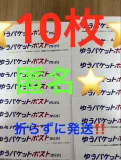 ゆうパケットポストmini 専用封筒 10枚セットその77