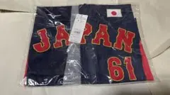 西武ライオンズ 平良海馬 ユニフォーム 日本代表　L 侍ジャパン ビジターのサムネイル