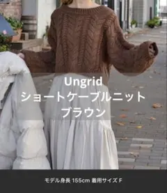 Ungrid ショートケーブルニット ブラウン