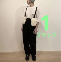 holiday DICKIES 2TUCK PANTS 2024ss ブラックのサムネイル