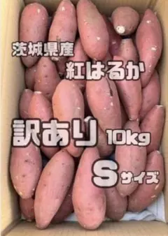 くー様専用紅はるか　さつまいも　訳あり　Ｓサイズ20kg