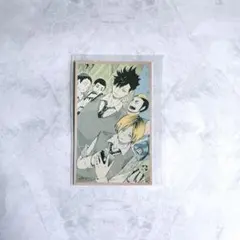 ハイキュー‼︎ メモリアルコレクション 黒尾鉄朗 孤爪研磨 音駒