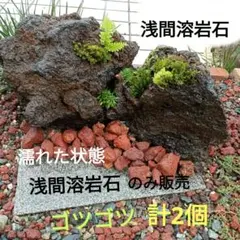 おちぇい様 リクエスト 2点 まとめ商品