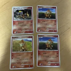 モウカザル・ヒコザル トレーディングカードセット