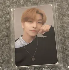 ALD1 コインネックレス 封入トレカ シンロン