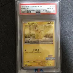 2025年 ポケモン ピカチュウ PSA 10