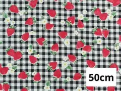 生地　イチゴ　シーチング　50cm